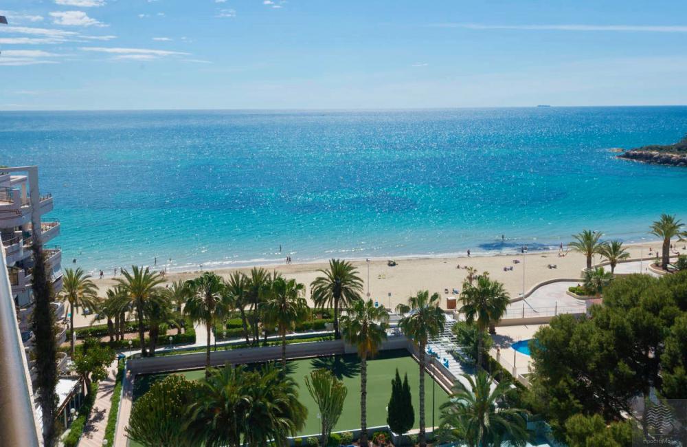 Edf. Paraiso Mar, planta 11